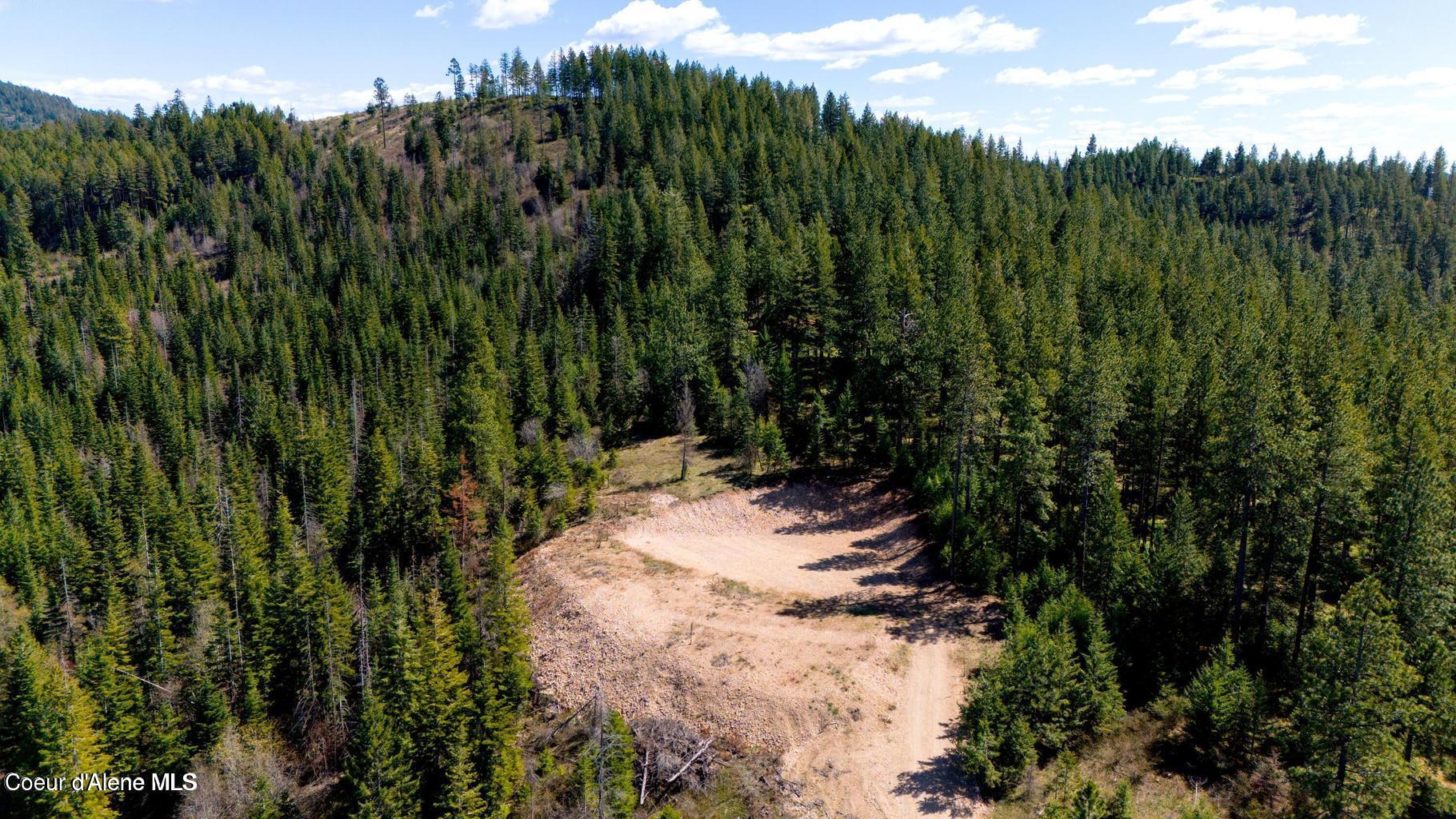 10 Moose Drive Plummer, ID 83851 - Photo 1 of 13 2