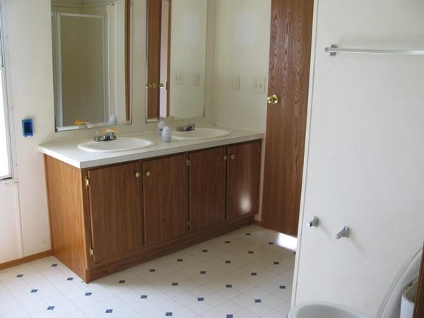 812 Hale Road Northeast Pilot, VA 24138 - Photo 10 of 16 a bathroom with a sink and a mirror