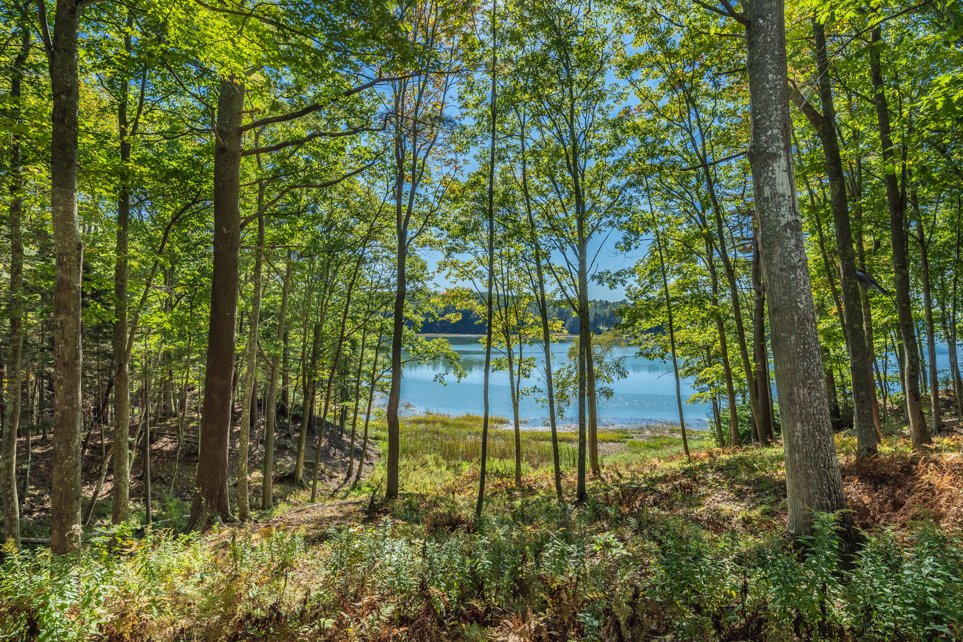 29 Bartol Island Road Freeport, ME 04032 - Photo 20 of 34 _FG41099