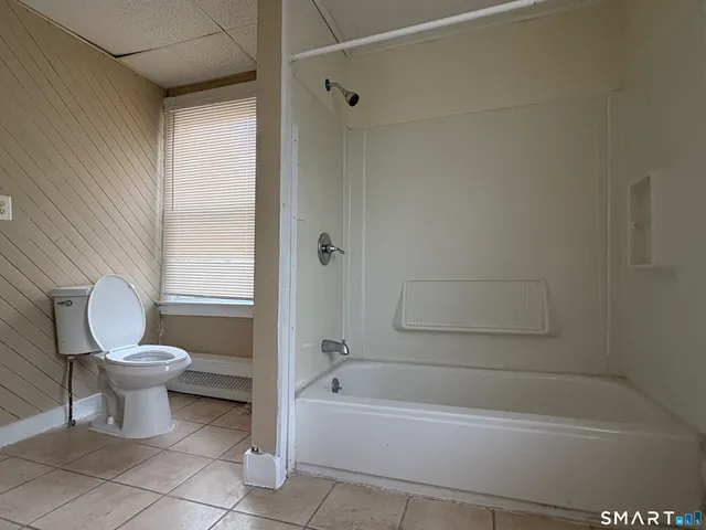 a bathroom with a toilet and a bathtub
