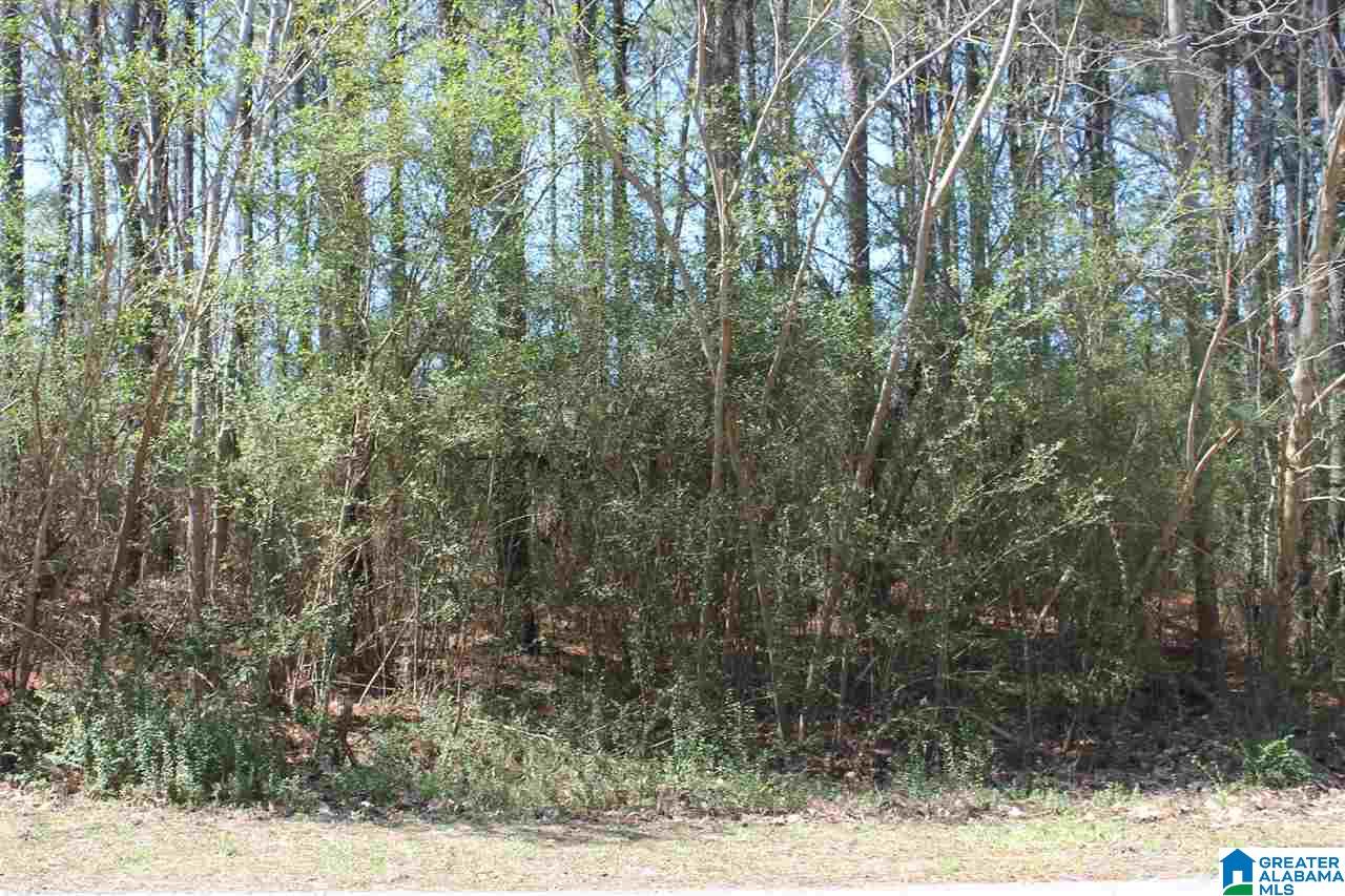 0 Clarendon Road, Unit LOT #61 Cullman, AL 35057 - Photo 9 of 9 Gallery Image 9