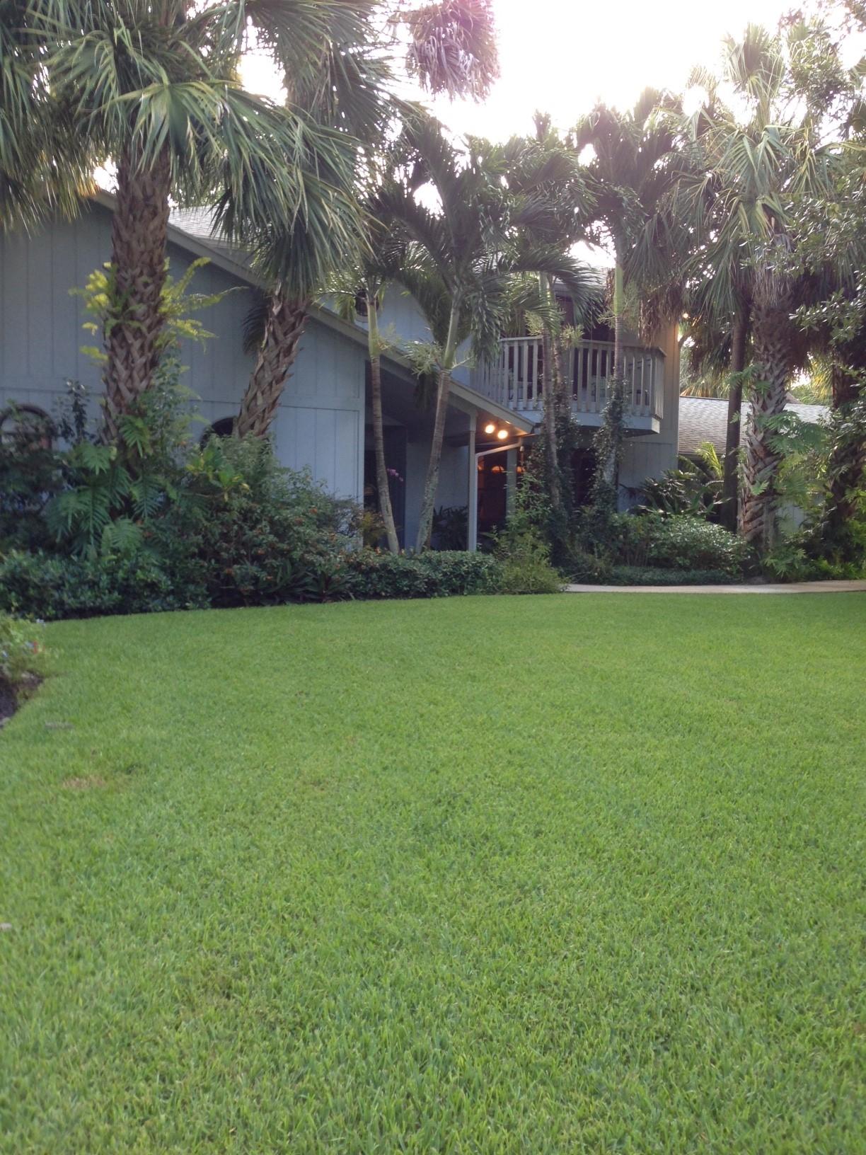 5378 Pennock Point Road Jupiter, FL 33458 - Photo 2 of 59 Large welcoming front yard
