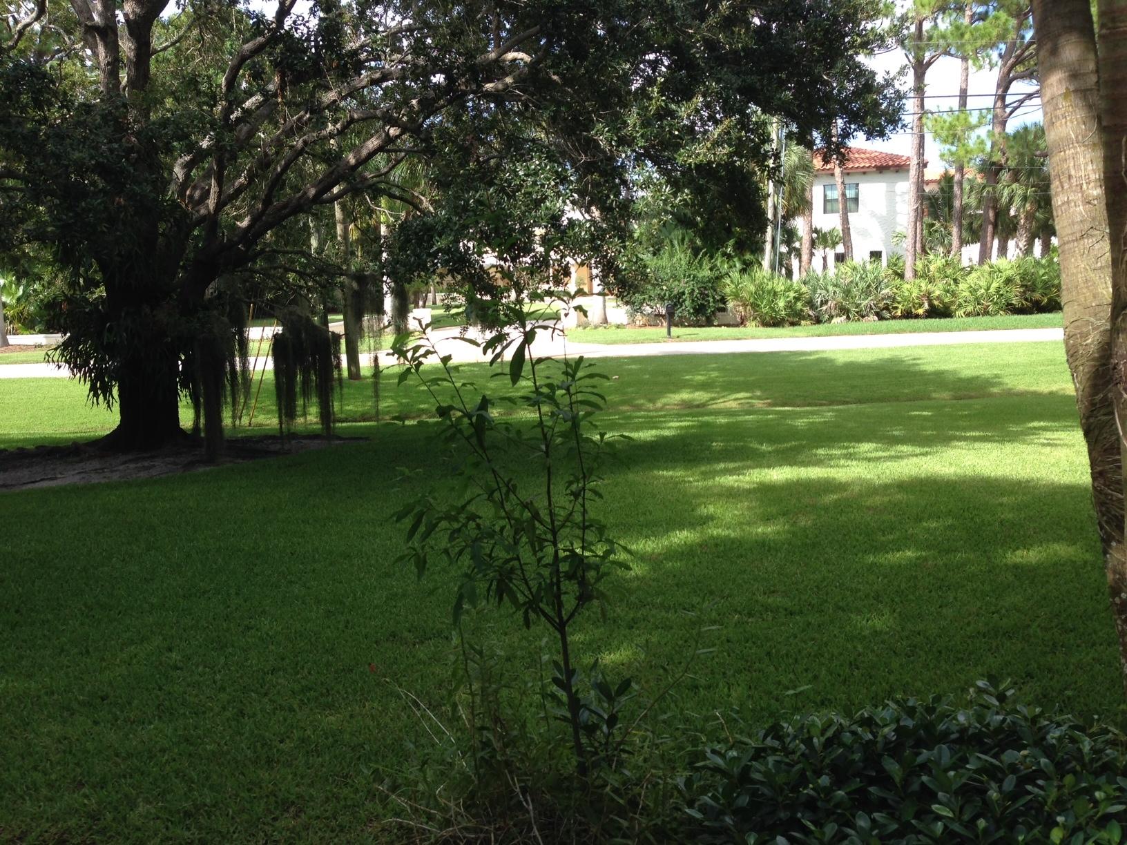 5378 Pennock Point Road Jupiter, FL 33458 - Photo 4 of 59 spacious front yard