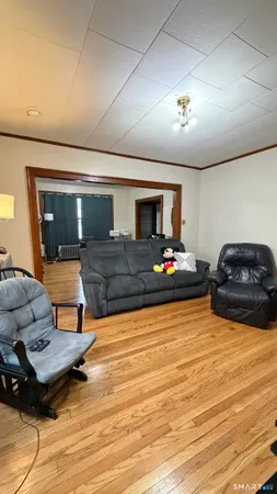 a living room with furniture rug and wooden floor