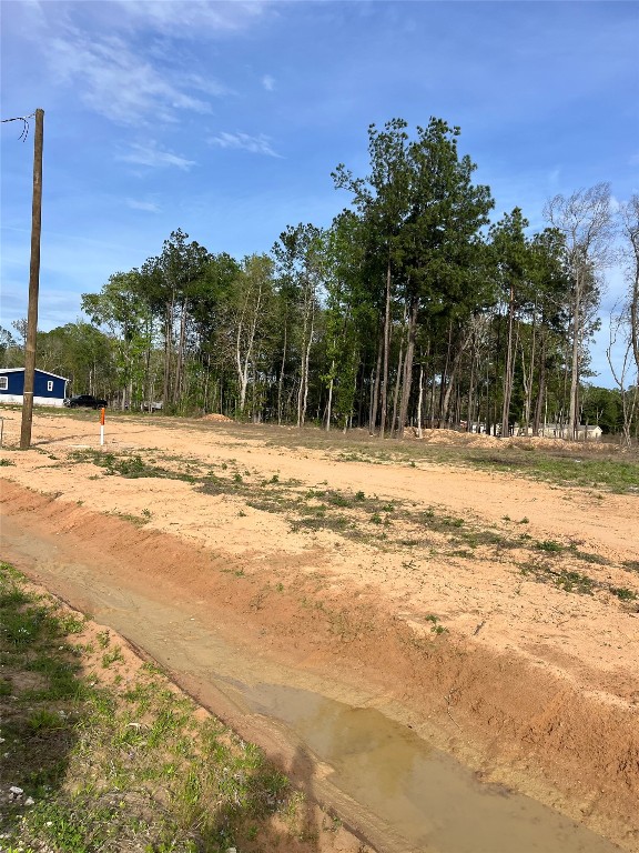 290 Road 373-01 Splendora, TX 77372 - Photo 14 of 17 a view of a yard with trees