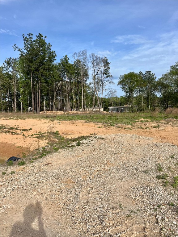290 Road 373-01 Splendora, TX 77372 - Photo 2 of 17 a view of a yard with a house
