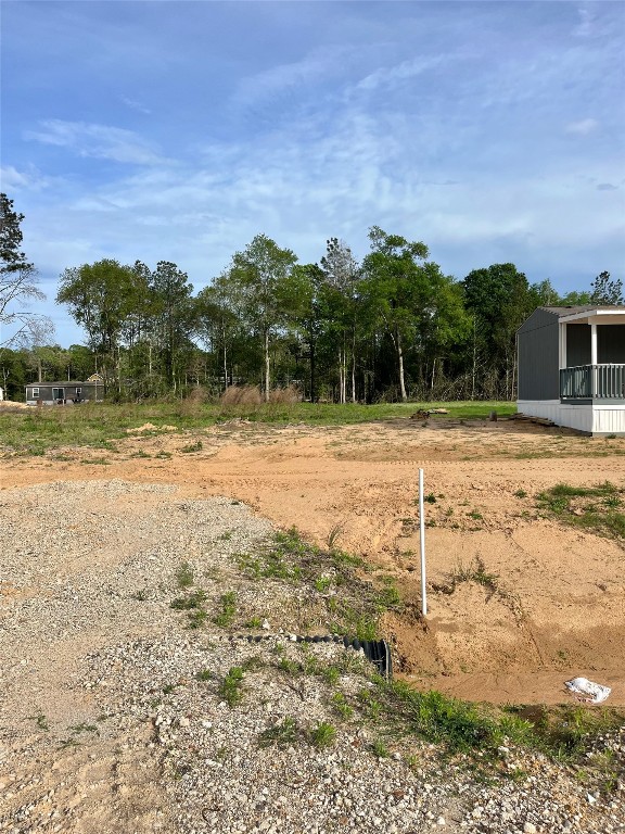 290 Road 373-01 Splendora, TX 77372 - Photo 5 of 17 a view of a yard with an ocean