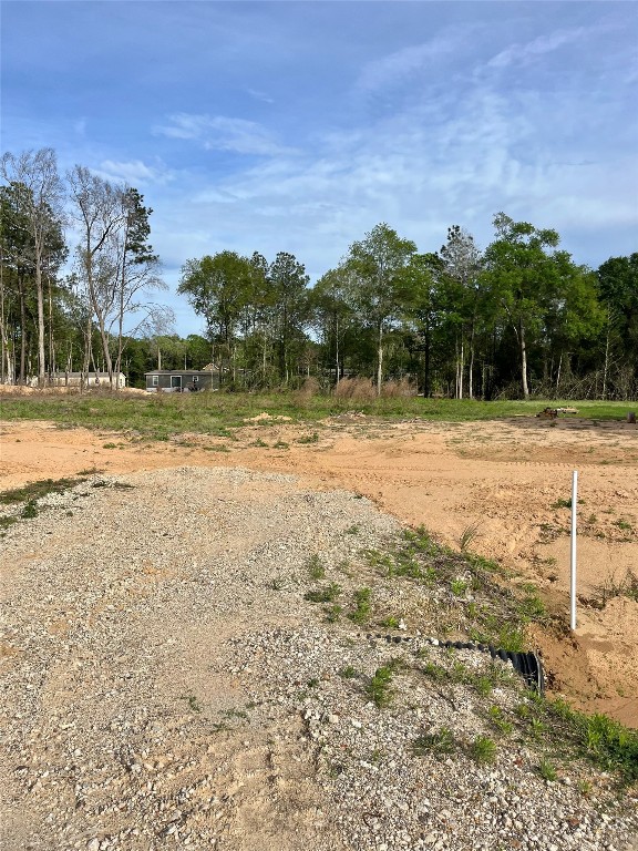 290 Road 373-01 Splendora, TX 77372 - Photo 6 of 17 a view of a yard with plants and trees