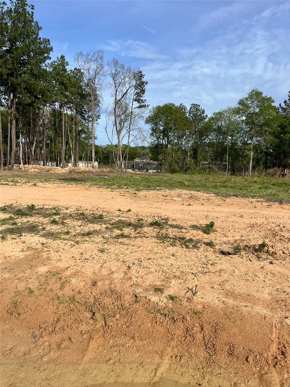 290 Road 373-01 Splendora, TX 77372 - Photo 10 of 17