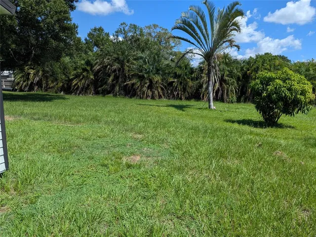a view of a big yard with large trees