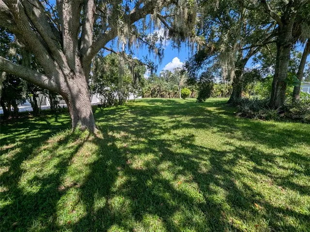 a view of a yard of the house