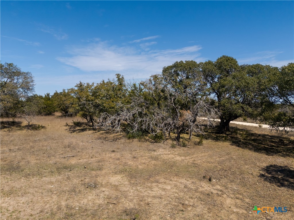 Tbd Tbd Drive Lampasas, TX 76550 - Photo 4 of 22 a view of a yard
