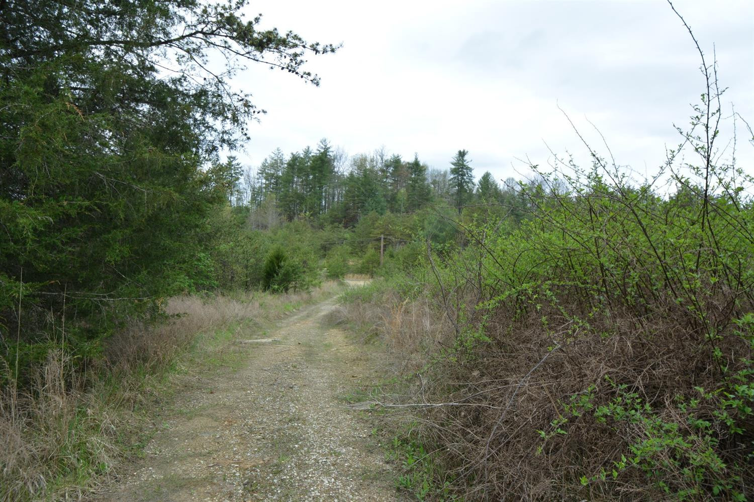 177 Mullins Point Road Campton, KY 41301 - Photo 73 of 85 Photo 73