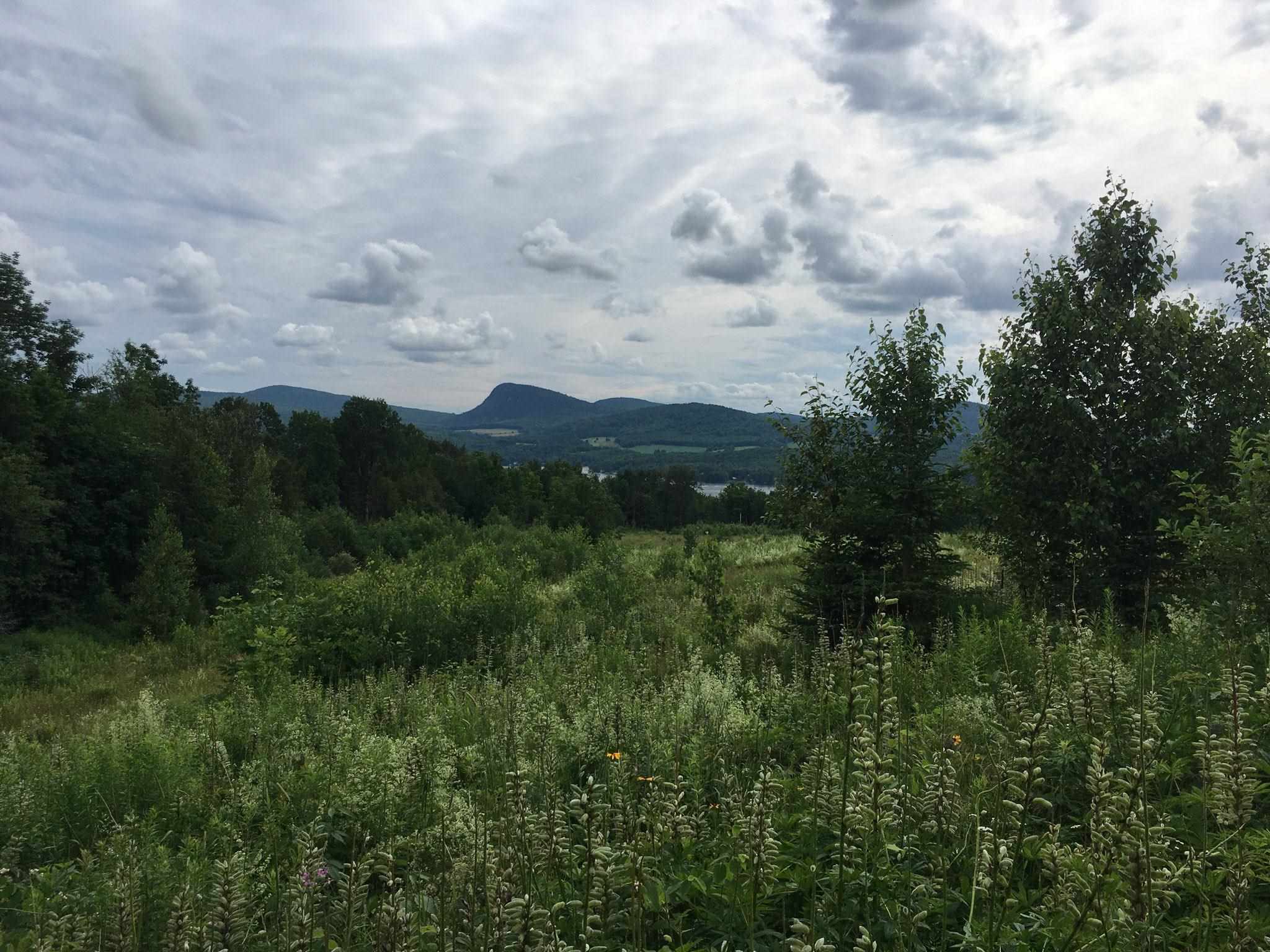 762 Hinton Hill Road Westmore, VT 05860 - Photo 36 of 39 Gallery Image 36