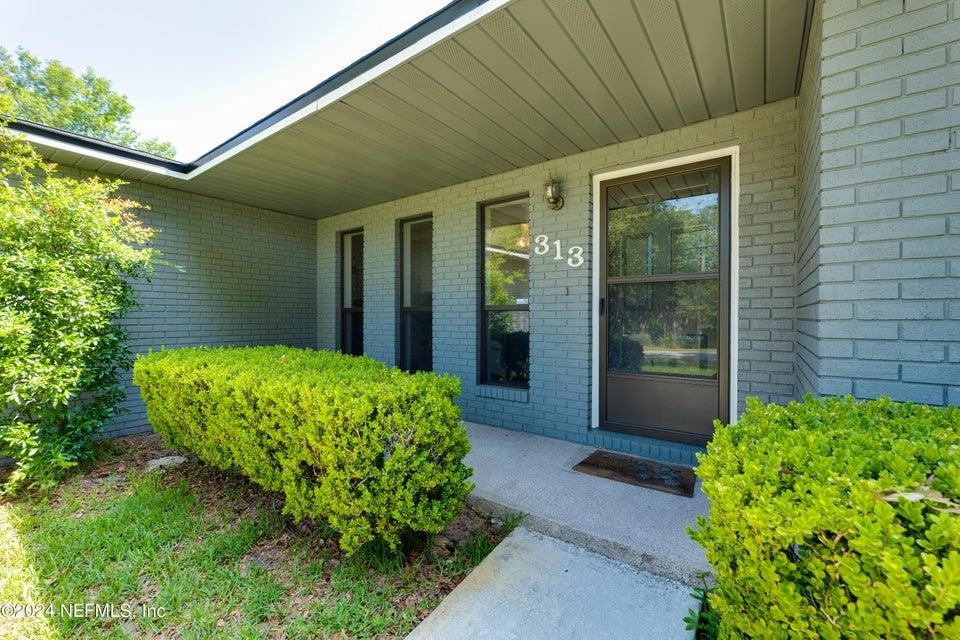 313 Cypress Road St. Augustine, FL 32086 - Photo 2 of 27 a view of a backyard with potted plants