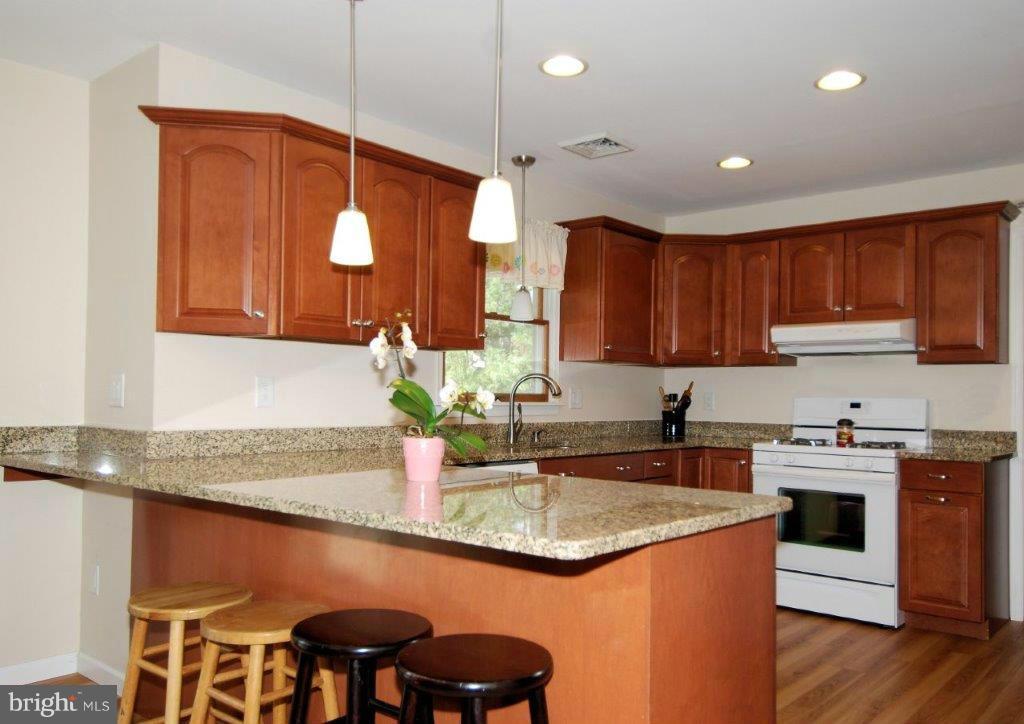 1007 Shady Beach Road Elkton, MD 21921 - Photo 2 of 30 Updated Cabinets, Slide Out Shelving