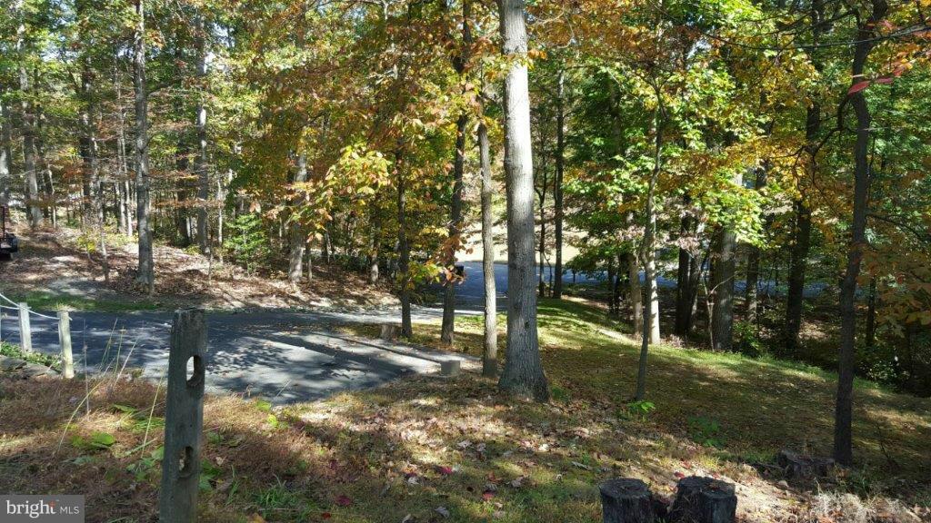 1007 Shady Beach Road Elkton, MD 21921 - Photo 29 of 30 Quiet and Private