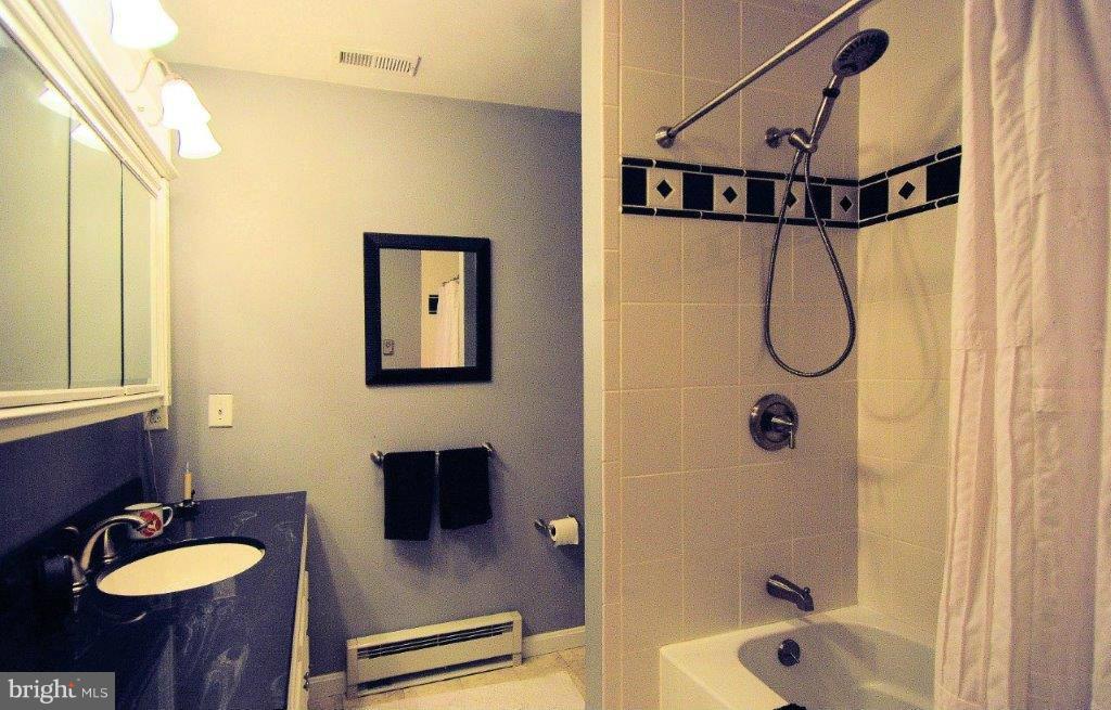 1007 Shady Beach Road Elkton, MD 21921 - Photo 5 of 30 Spectacular Tile Work in This Full Bath