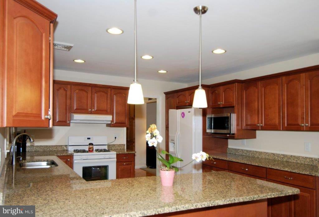 1007 Shady Beach Road Elkton, MD 21921 - Photo 8 of 30 Granite, Gas Stove and Recessed Lighting