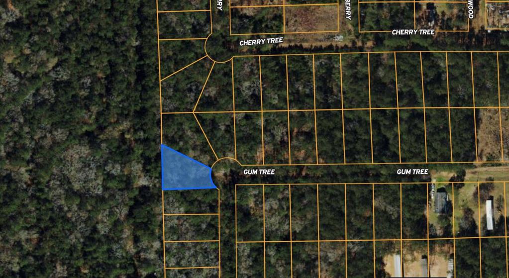 27 Gum Tree Ln  