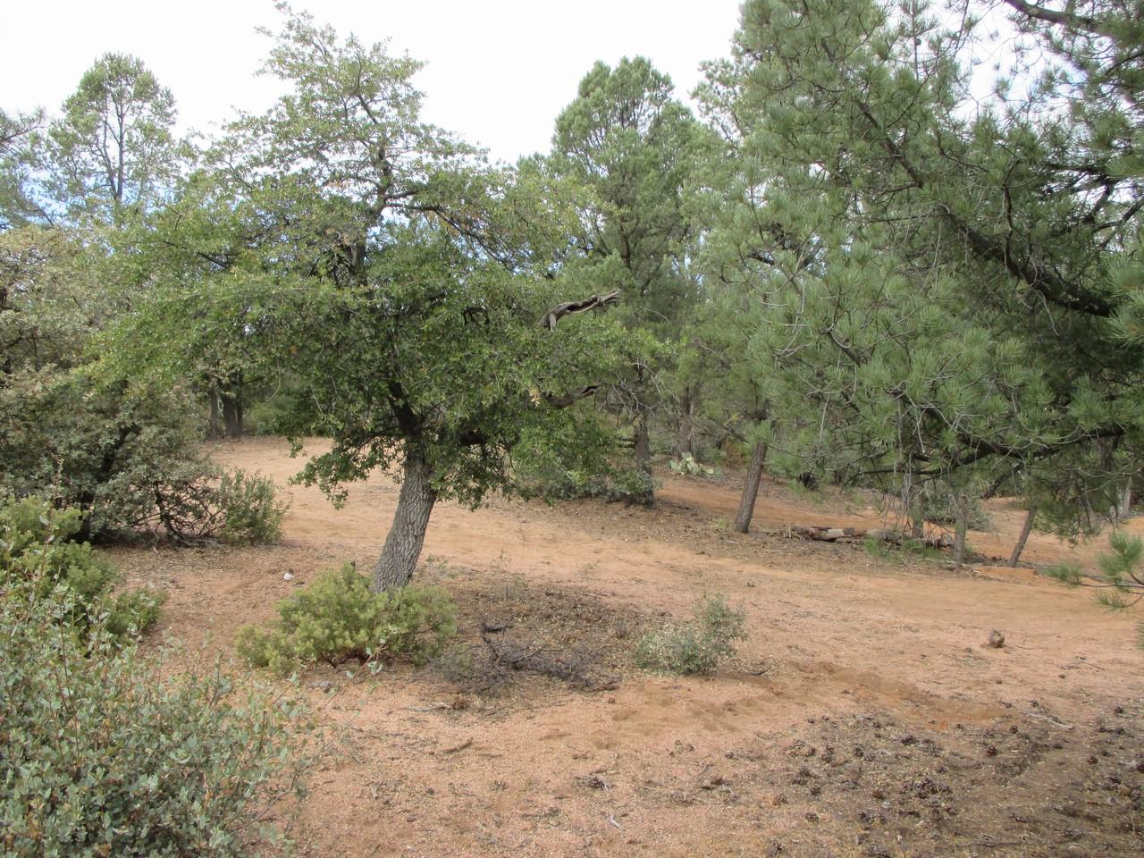 1404 East Graham Rnch Trail Payson, AZ 85541 - Photo 2 of 7 Gallery Image 2
