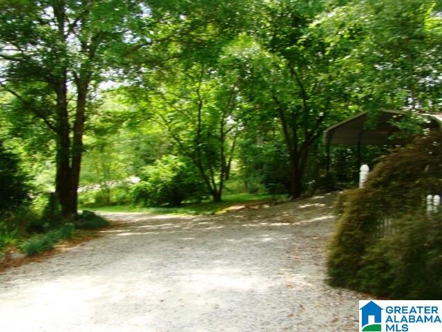 940 Lees Bridge Road Delta, AL 36258 - Photo 15 of 42