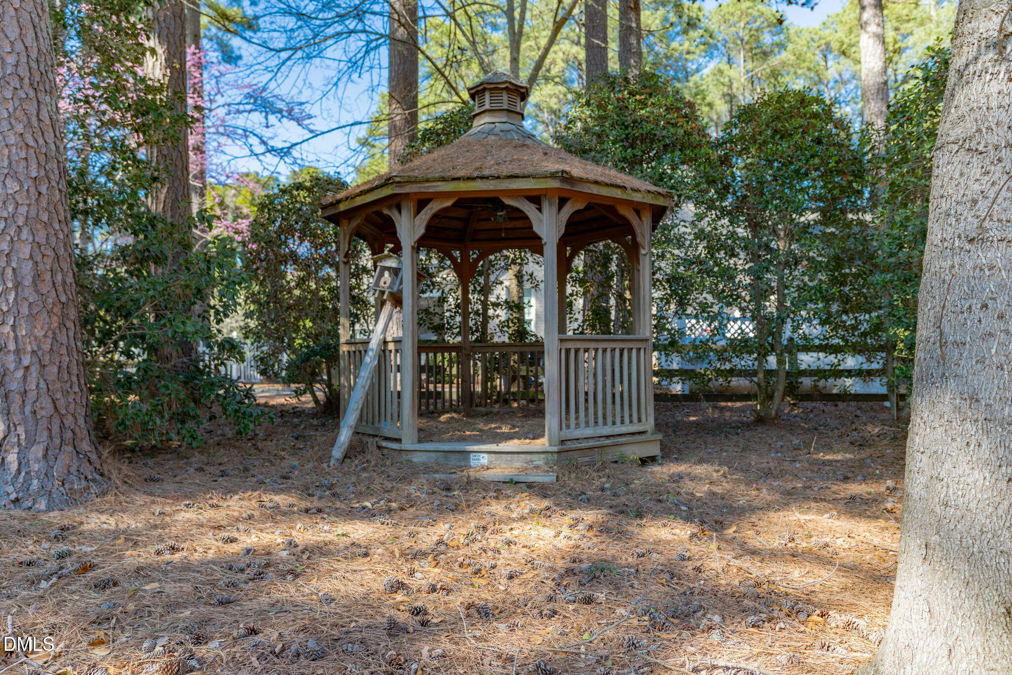 4076 Salem Farm Road Oxford, NC 27565 - Photo 43 of 55 a view of outdoor space and yard