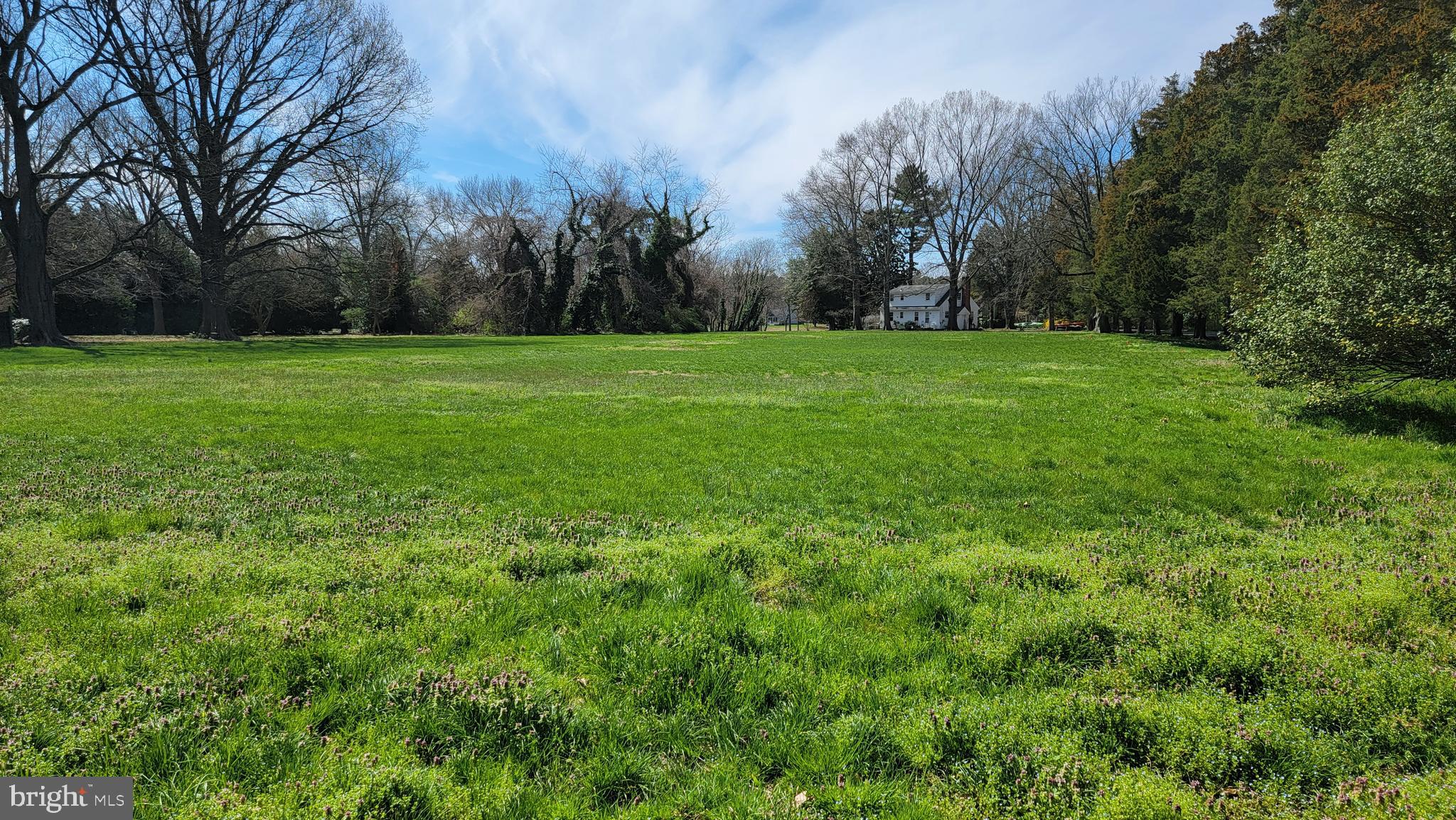a view of green field with trees in the background