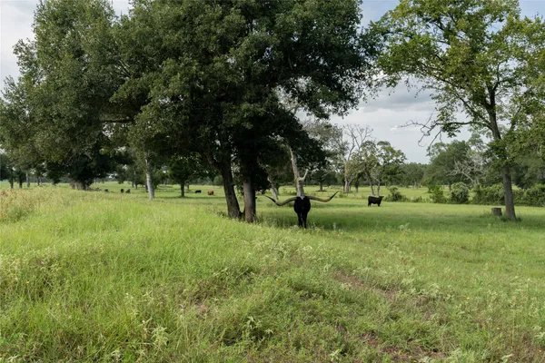 $1,500,000 | 0 Aztec Lane, Cat Spring, TX 78933