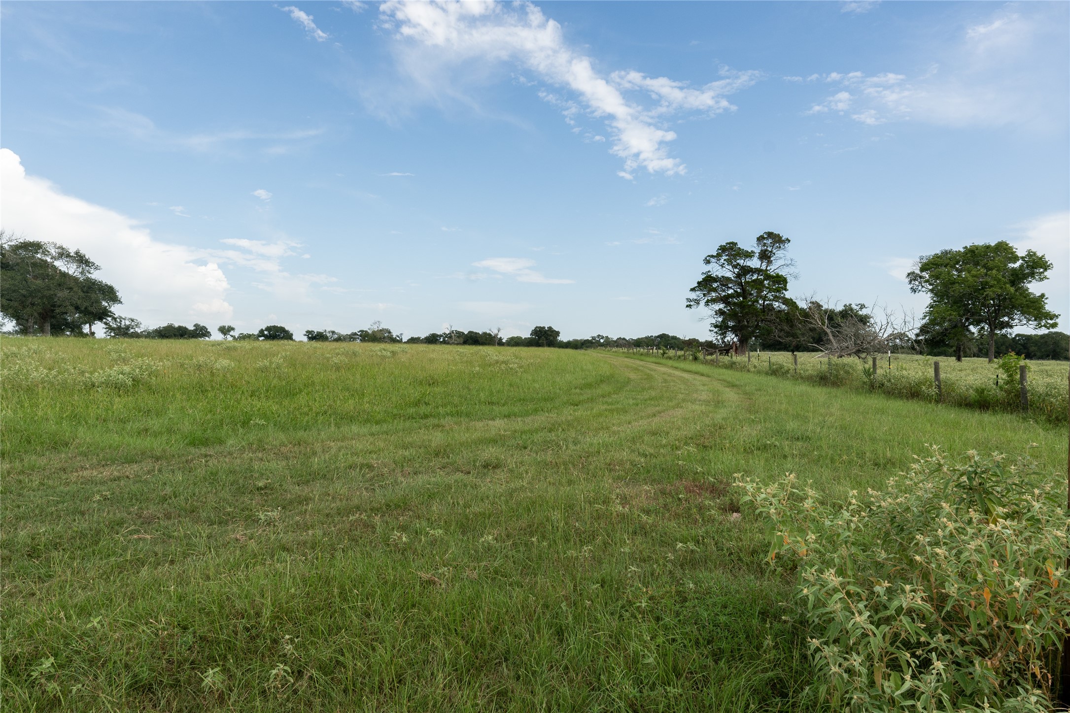 0 Aztec Lane Cat Spring, TX 78933 - Photo 11 of 24