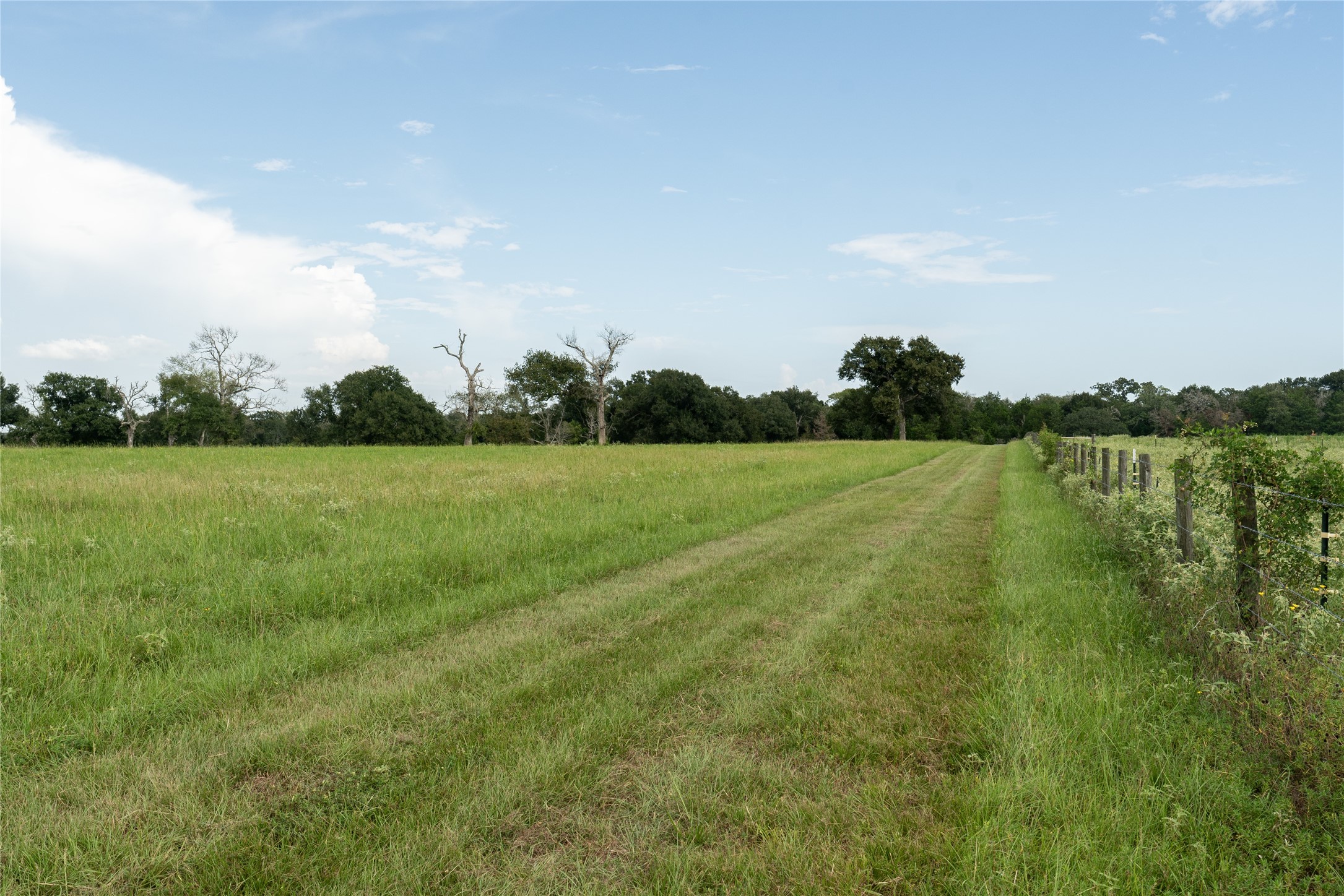 0 Aztec Lane Cat Spring, TX 78933 - Photo 12 of 24