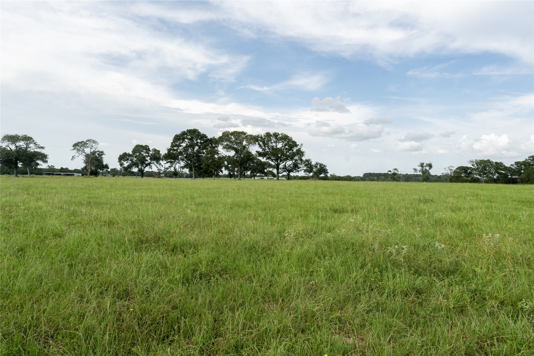 0 Aztec Lane Cat Spring, TX 78933 - Photo 13 of 24