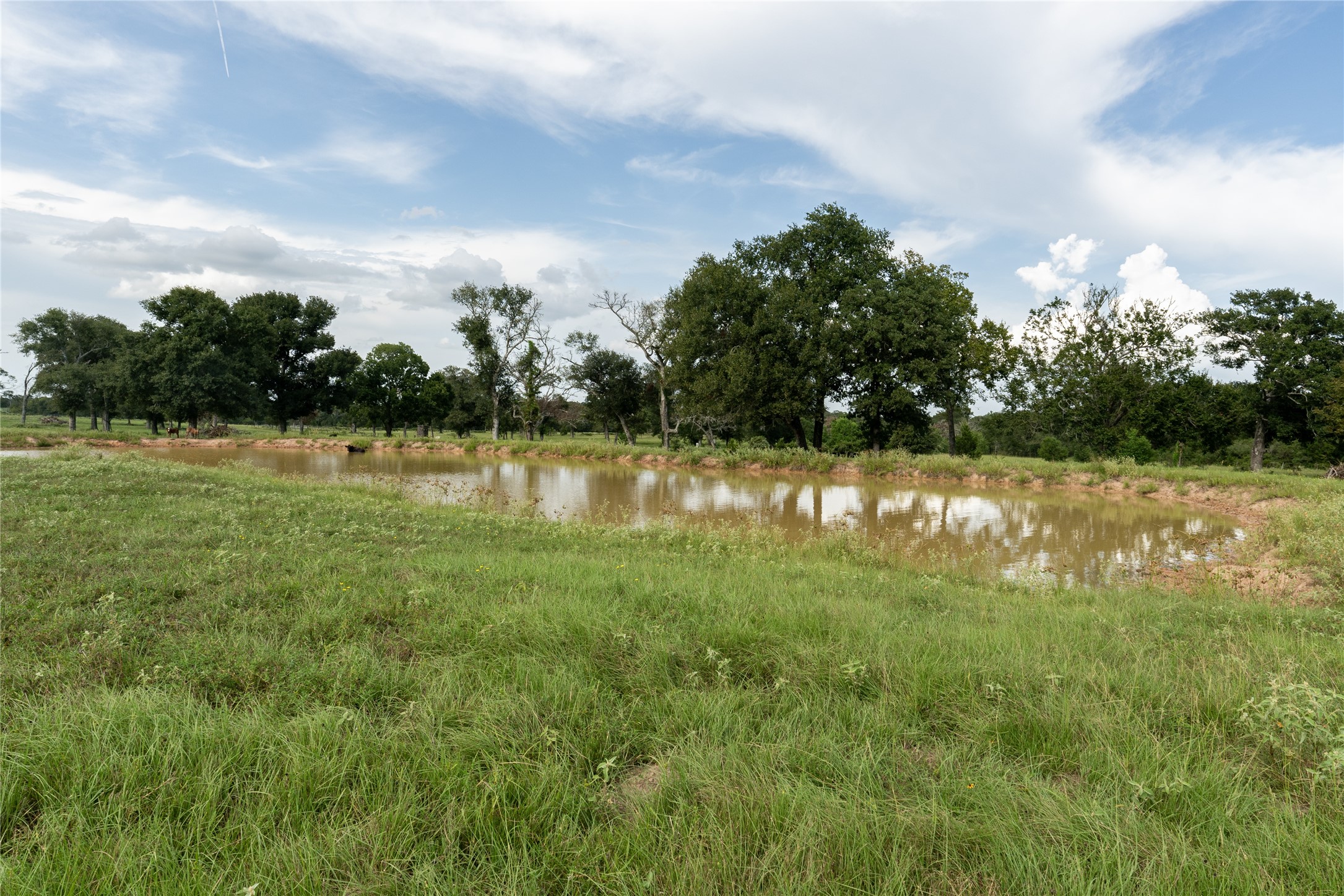 0 Aztec Lane Cat Spring, TX 78933 - Photo 16 of 24 Pond