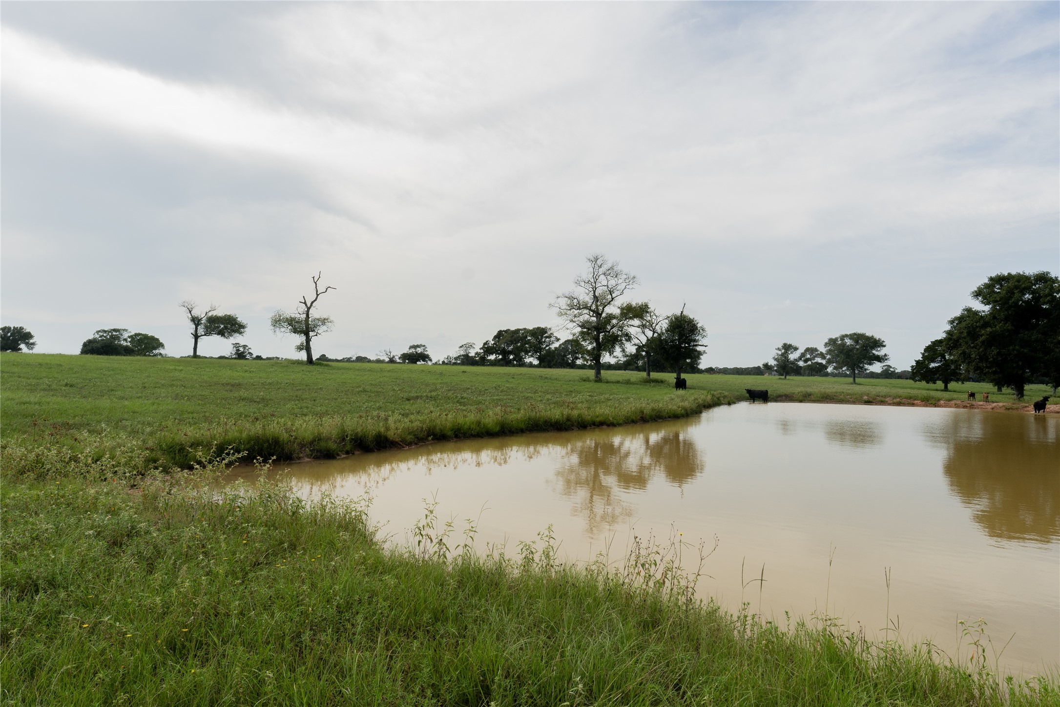 0 Aztec Lane Cat Spring, TX 78933 - Photo 17 of 24