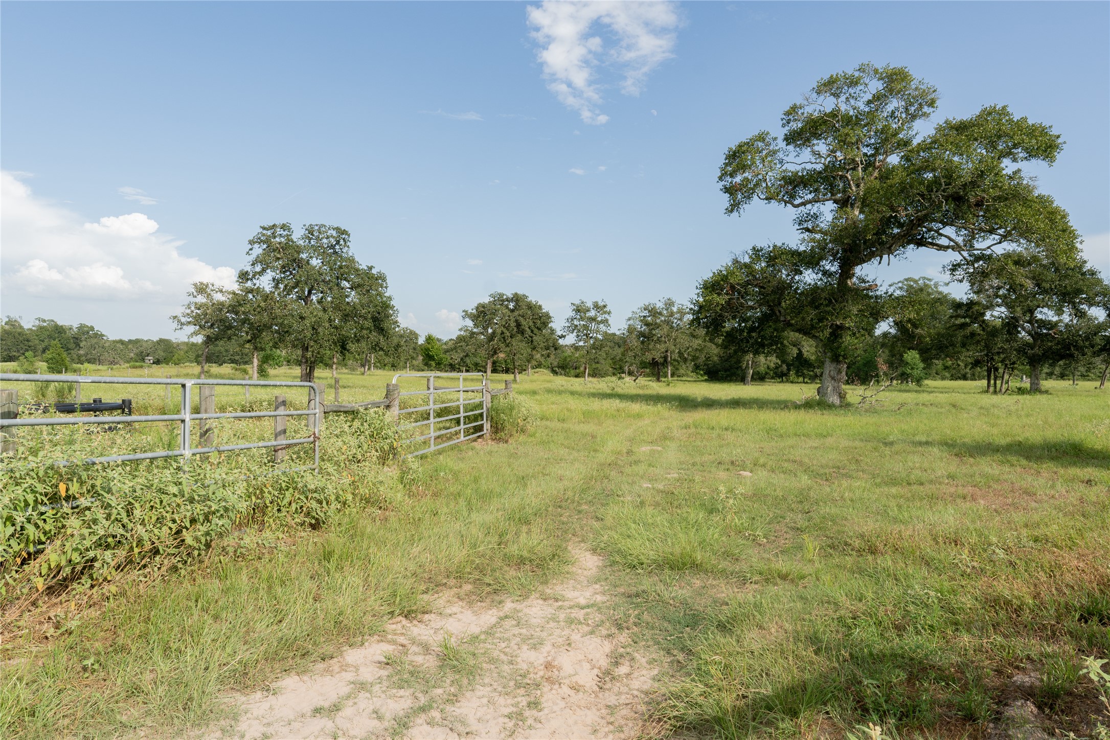 0 Aztec Lane Cat Spring, TX 78933 - Photo 19 of 24