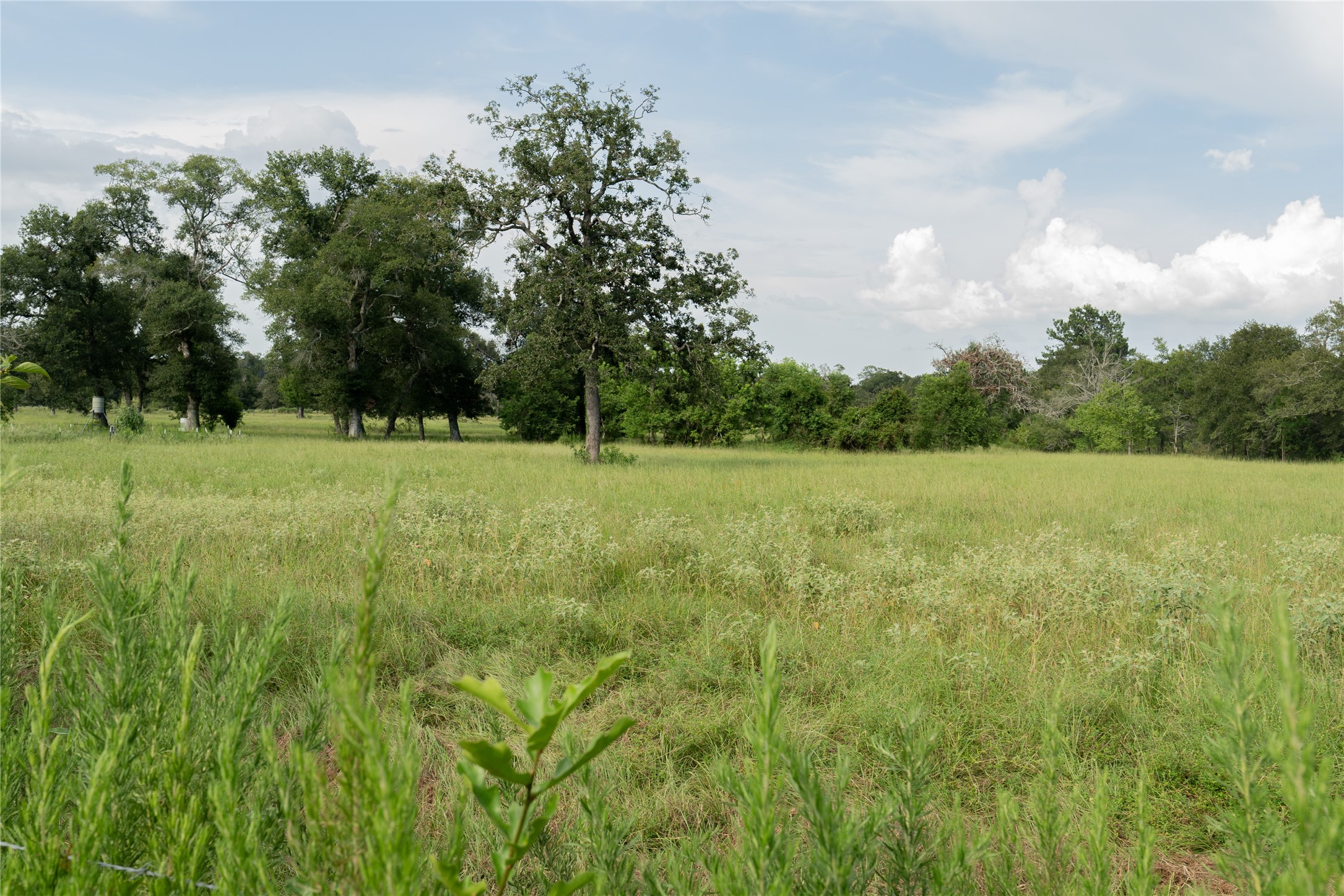 0 Aztec Lane Cat Spring, TX 78933 - Photo 20 of 24