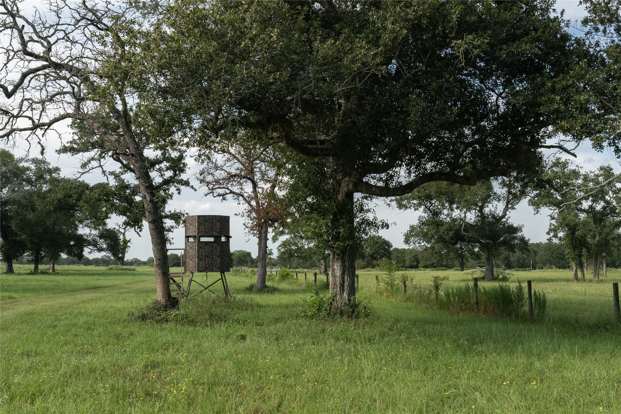 0 Aztec Lane Cat Spring, TX 78933 - Photo 22 of 24