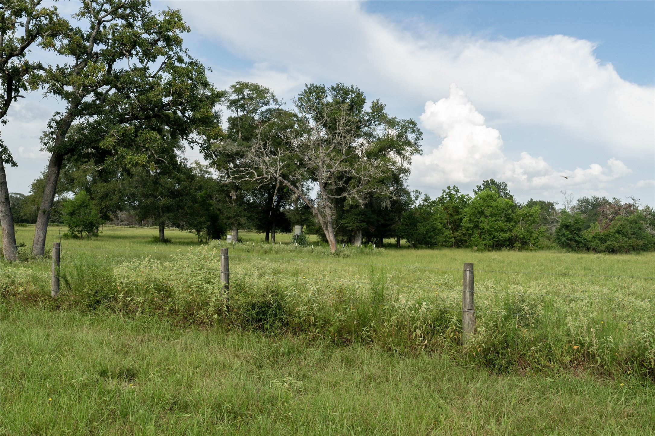 0 Aztec Lane Cat Spring, TX 78933 - Photo 23 of 24