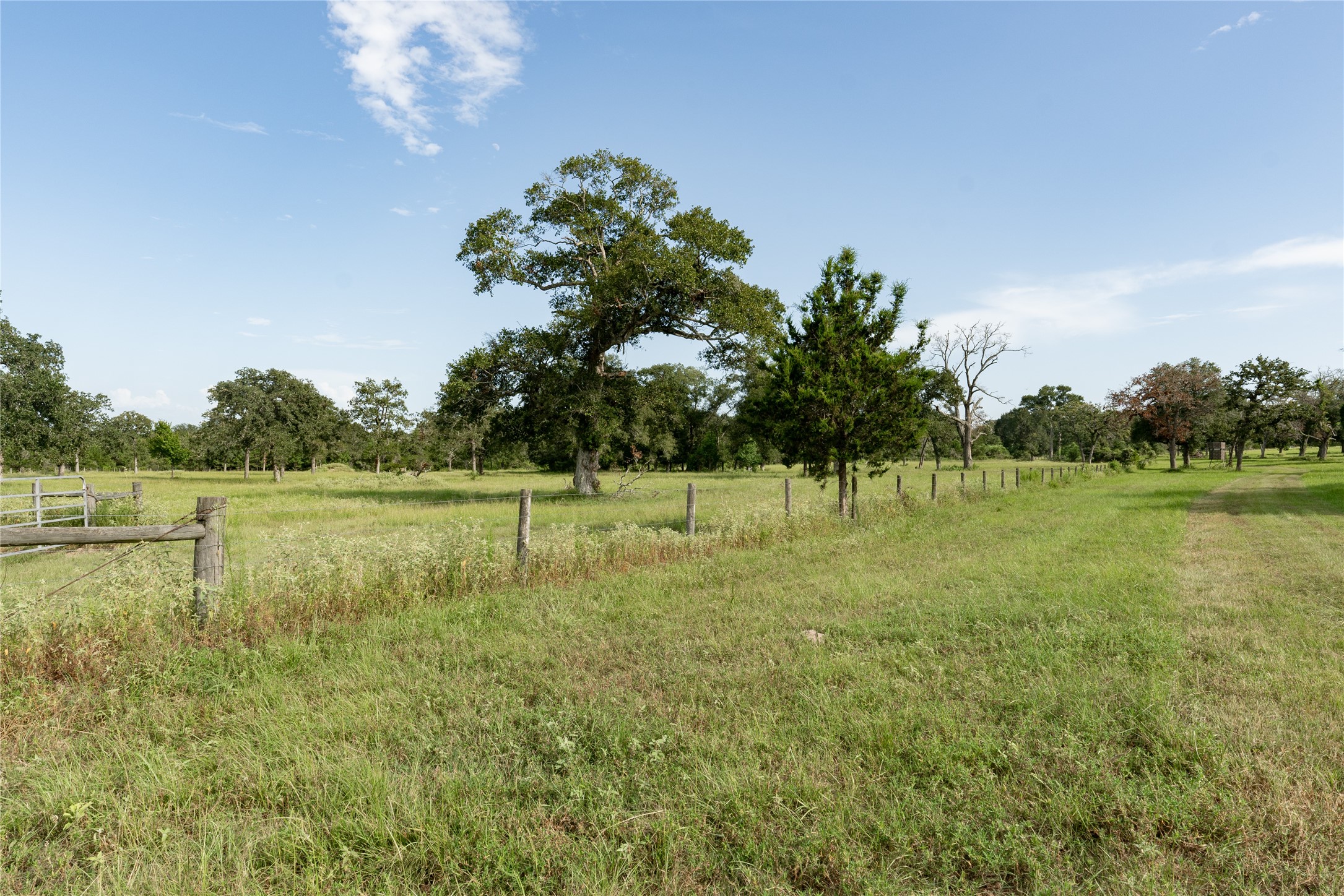 0 Aztec Lane Cat Spring, TX 78933 - Photo 24 of 24