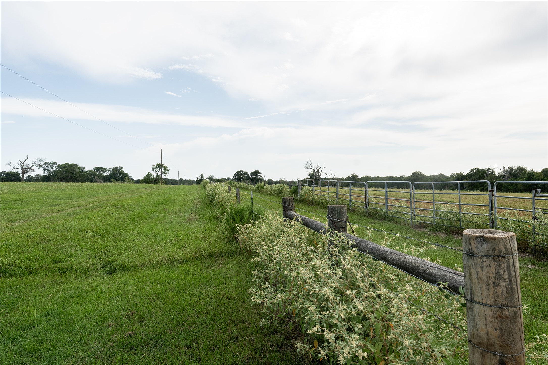 0 Aztec Lane Cat Spring, TX 78933 - Photo 10 of 24 Cross Fencing