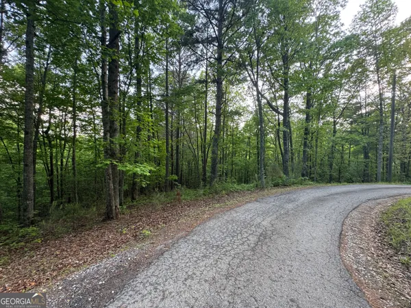 a view of a forest with trees