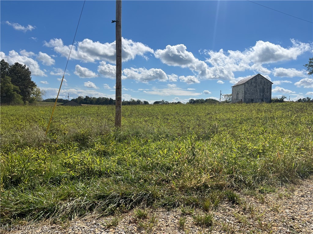 71330 Old Twenty One Road Kimbolton, OH 43749 - Photo 12 of 49