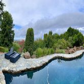 a view of a backyard with couches plants and swimming pool