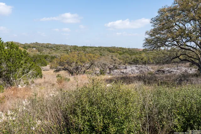 a view of a dry yard with trees in the background
