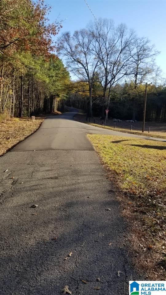 508 Terry Drive Adger, AL 35006 - Photo 9 of 17