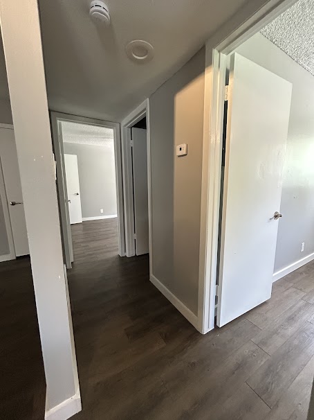 3436 Willowrun Drive, Unit D Austin, TX 78704 - Photo 5 of 9 a view of a hallway with wooden floor