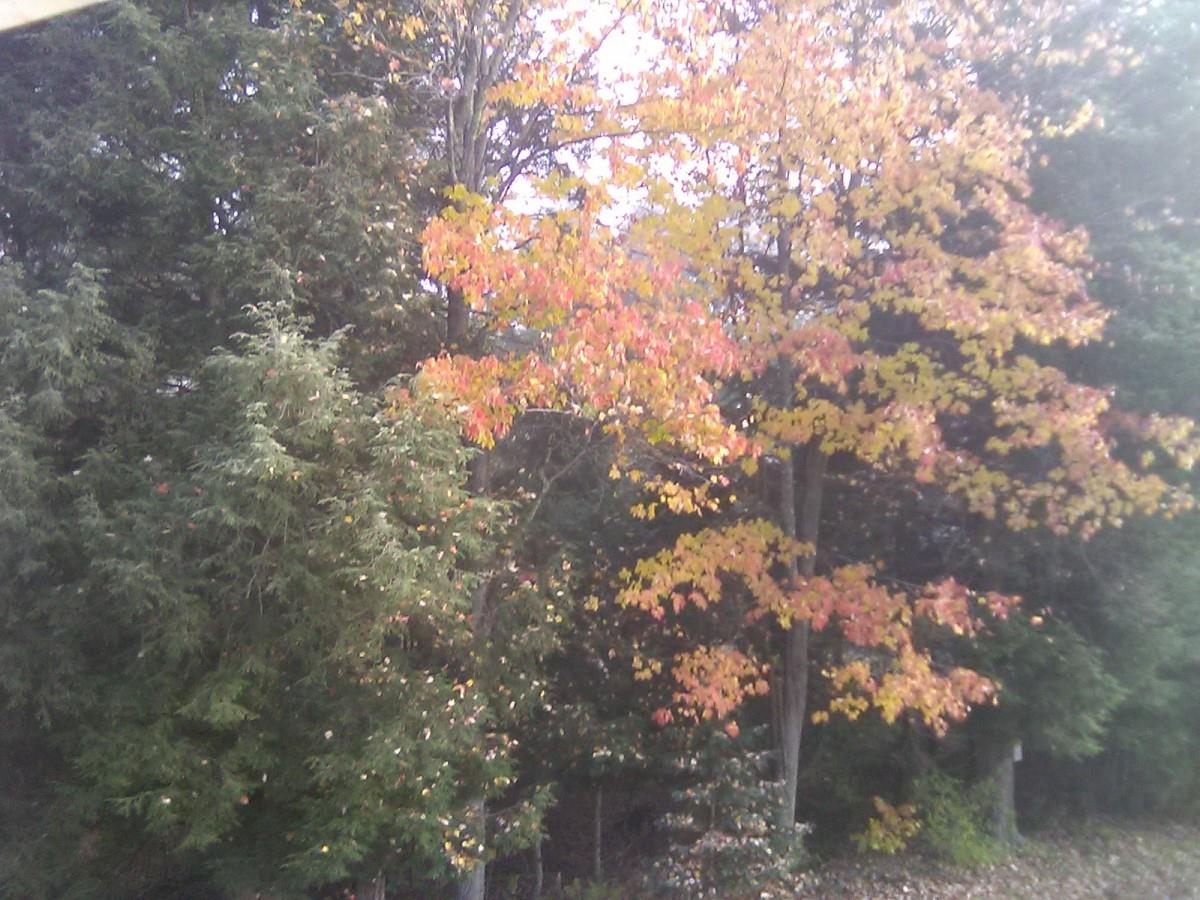 195 Beacon Hill Road Morristown, VT 05661 - Photo 33 of 38