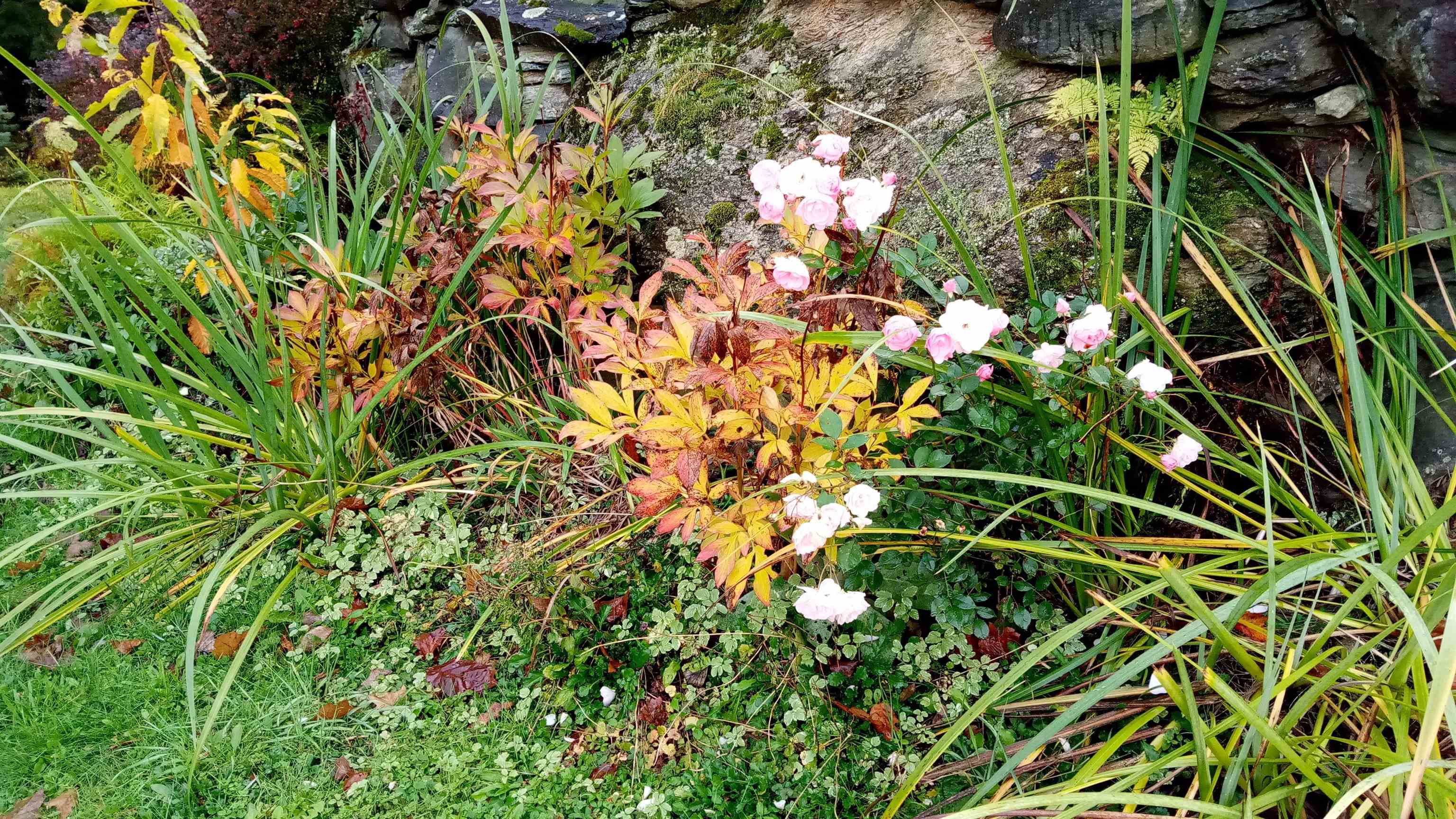 195 Beacon Hill Road Morristown, VT 05661 - Photo 34 of 38