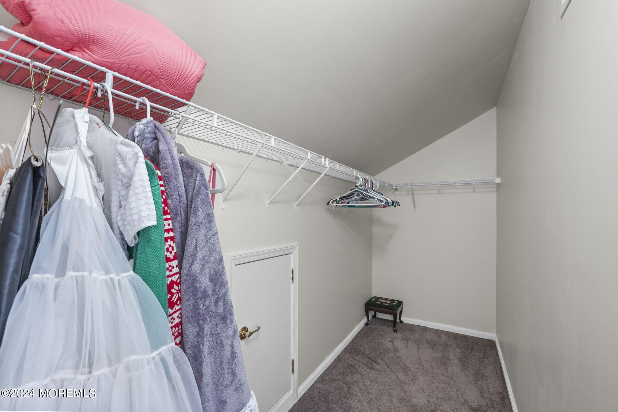 30 Silver Maple Lane Howell, NJ 07731 - Photo 29 of 43 a view of walk in closet with clothes
