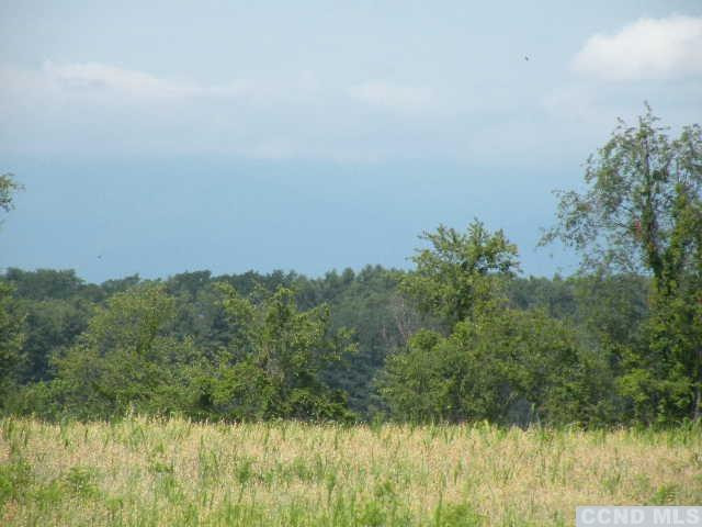 134 Lockwood Road Livingston, NY 12534 - Photo 11 of 15 a view of a yard